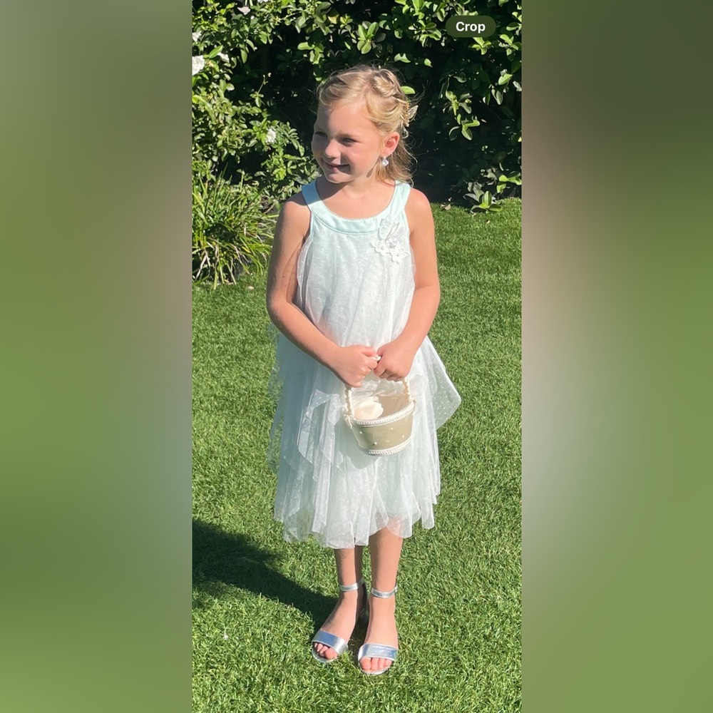 Tahari Mint Girls Dress with Butterfly Detail Size 7
